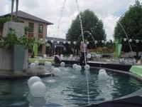 Silwermossie 2008