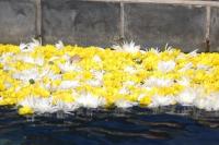 Doopdiens 01 Maart 2009