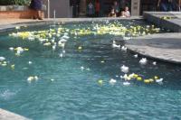 Doopdiens 01 Maart 2009