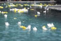 Doopdiens 01 Maart 2009