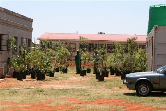 Tree Planting 24 October 2004