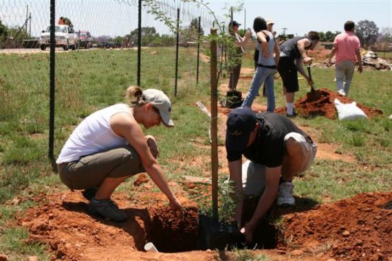 Tree Planting 24 October 2009