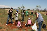 Tree Planting 24 October 2009