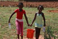 Tree Planting 24 October 2009