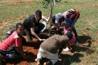 Tree Planting 24 October 2009