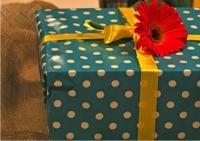 Feminae-aand met Nedine Blom