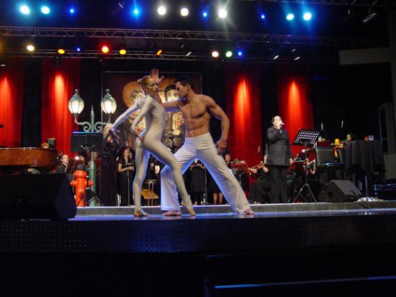 meditations 2011-28